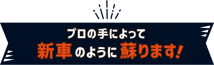 プロの手によって新車のように蘇ります！